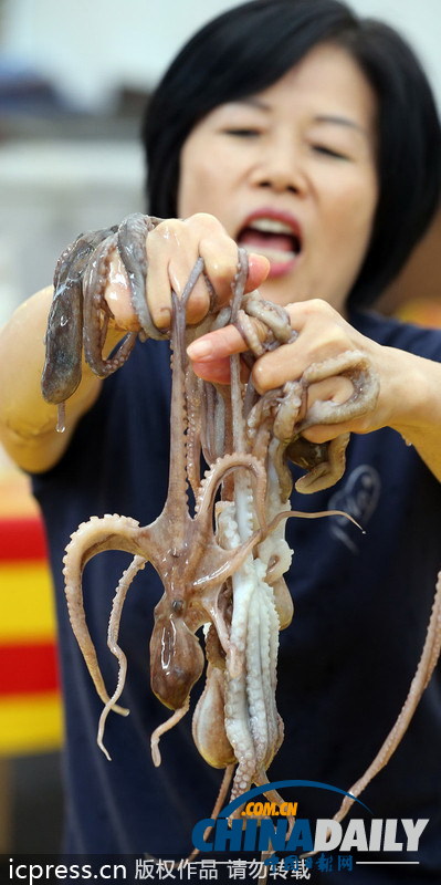韓飲食節(jié)舉辦生吃魷魚比賽