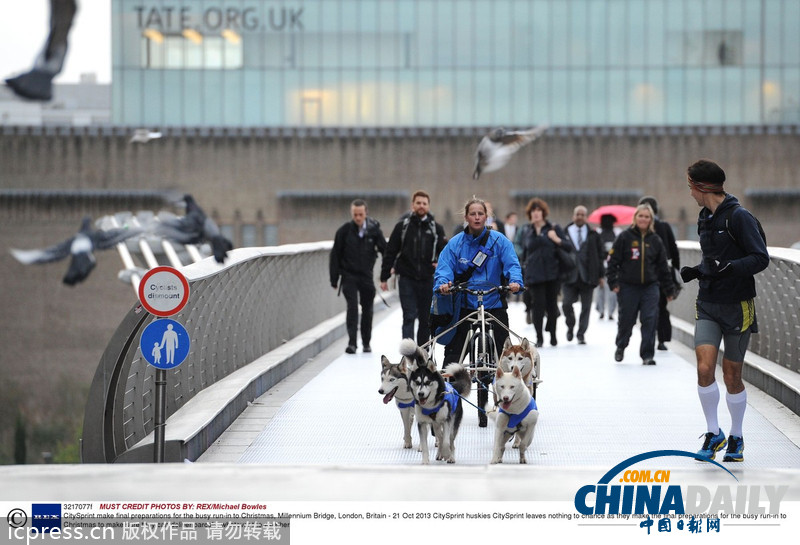 備戰圣誕季 英國快遞公司演練狗拉雪橇送包裹（高清組圖）