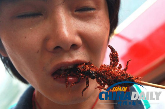 世界各地超級恐怖的蟲子大餐（組圖）
