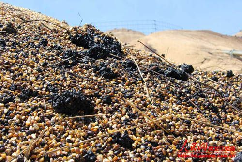 中儲糧黑龍江分公司回應林甸直屬庫火災三點疑問