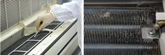 空調散熱片藏“毒”駭人 你真的會洗嗎？