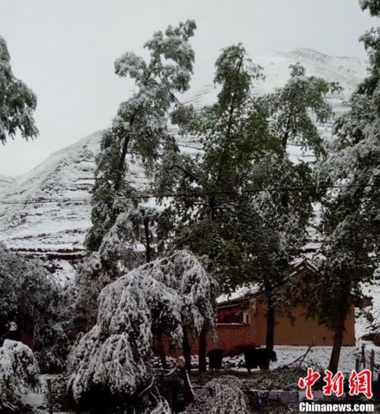 甘肅：局地現“夏日飛雪”奇觀(圖)
