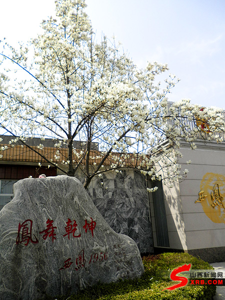 西鳳美酒香飄天下 酒海瓊漿醉世人（圖）