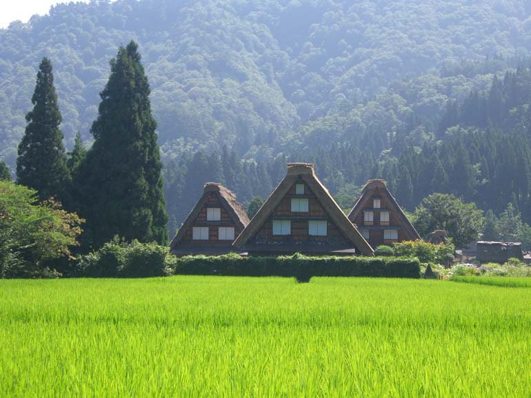 世外桃源！日本岐阜風光