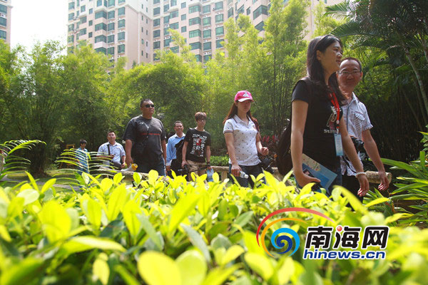 十年磨一劍 “五個龍華”鑄造海口現代化新城區