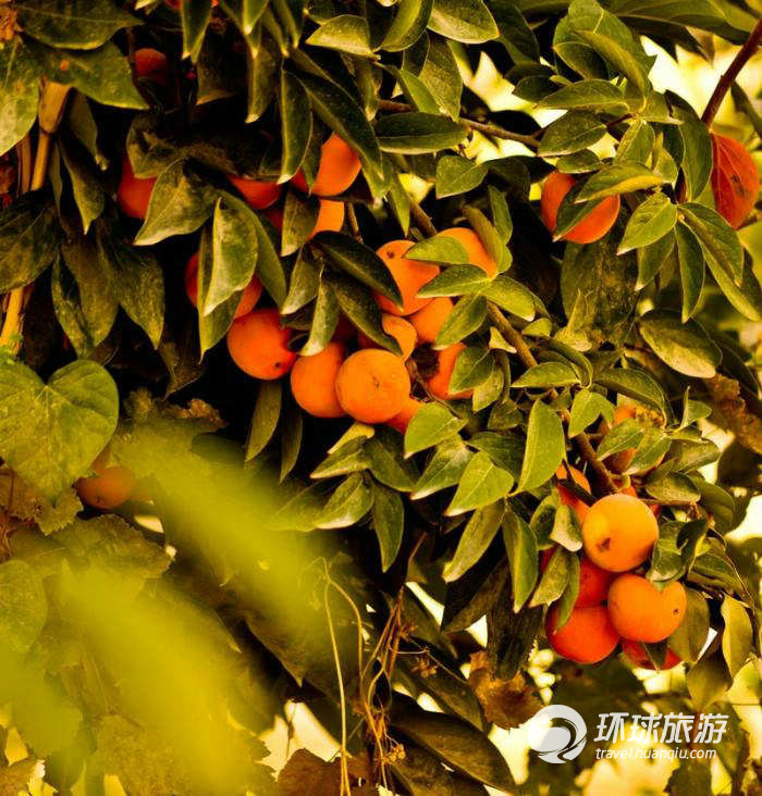 五彩繽紛的烏茲別克斯坦（組圖）