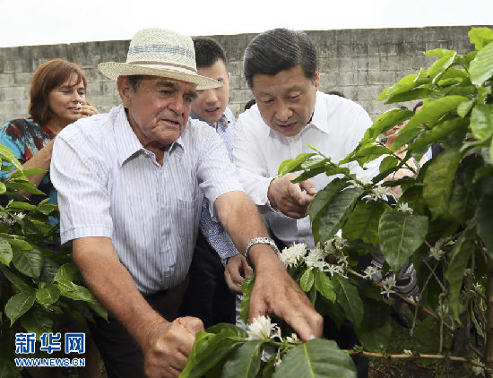 習(xí)近平走訪哥斯達(dá)黎加農(nóng)戶