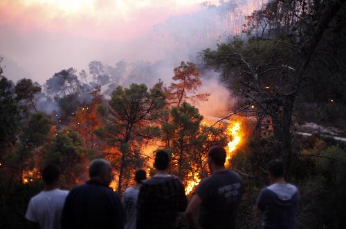 以色列北部發(fā)生山火約40人死亡 呼吁多國(guó)援助