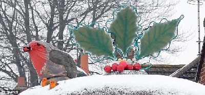圣誕趣聞:針葉樹變“布丁” 腦血管圖現(xiàn)“馴鹿”