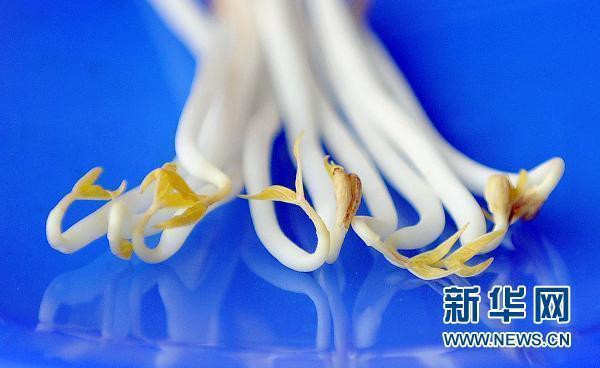 德國稱基本確認(rèn)“毒豆芽”是大腸桿菌疫情元兇
