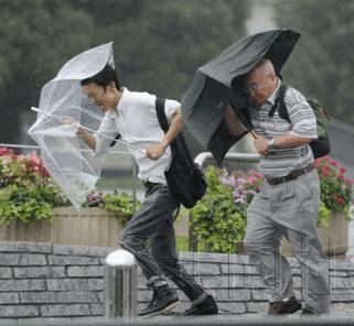 臺(tái)風(fēng)“洛克”橫掃日本逾百萬(wàn)人需要疏散 東京公交癱瘓