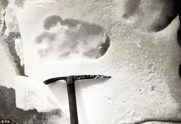 俄官方稱發現雪人存在“確鑿證據” 質疑者斥為炒作