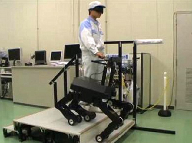 爬樓梯、躲障礙樣樣行 日本導盲機器狗將惠及萬千盲人
