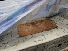 日本發(fā)明對付打鼾機器熊枕 聲音過響可干預睡姿