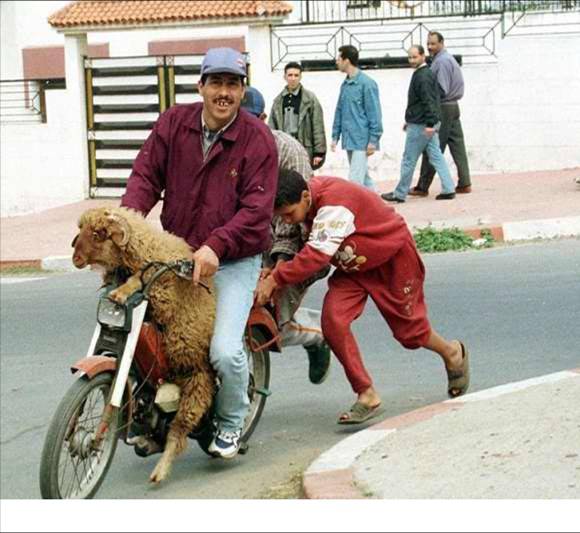 車手的不同