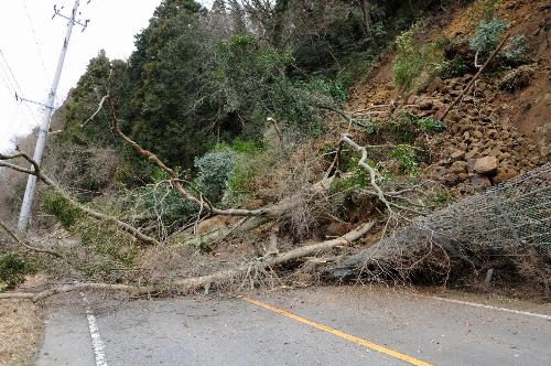 日本發(fā)生最大級(jí)別地震 核電站周圍居民被疏散