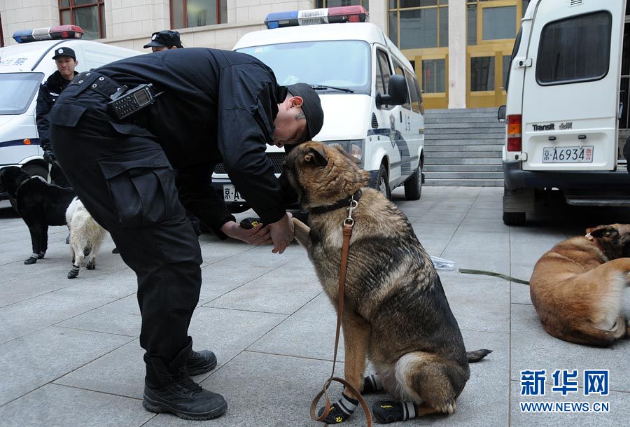 警犬“助陣”兩會(huì)安保工作：大會(huì)堂內(nèi)細(xì)致檢查