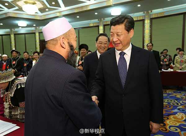 習近平看望政協少數民族界委員