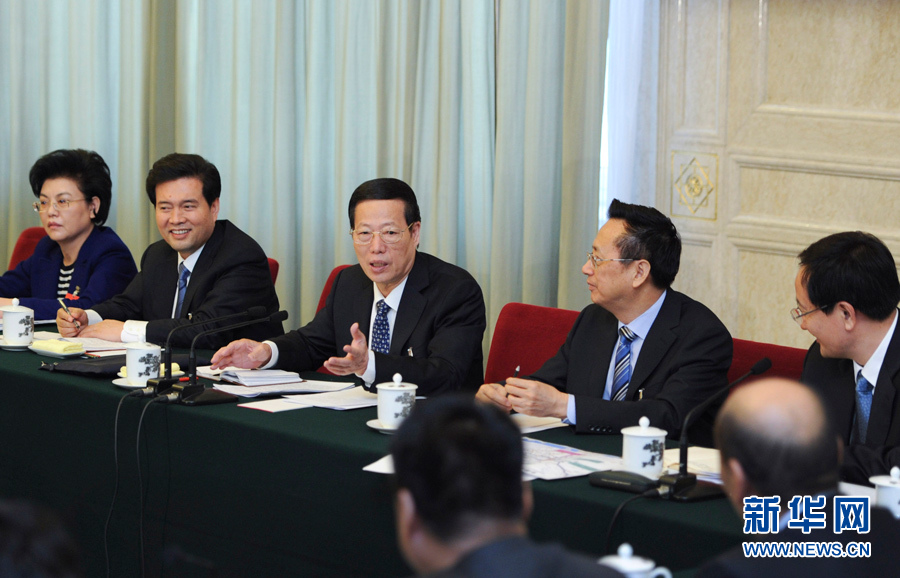 習近平等分別參加全國人大會議一些代表團審議