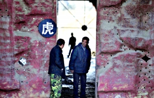 沈陽動(dòng)物園老虎餓死幕后:園區(qū)被抵押貸款建球場(chǎng)