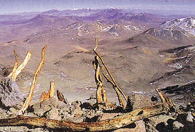 科學家證實500年前干尸曾受細菌感染 有助于研究古代疾病