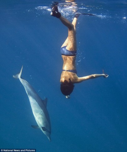 美女與海豚共泳數年成密友 海下追逐嬉鬧玩游戲