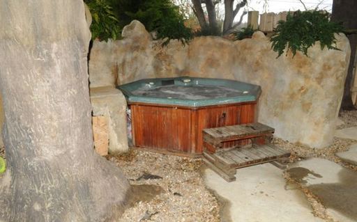 英國商人打造全英最豪華樹屋 不超200英鎊一晚