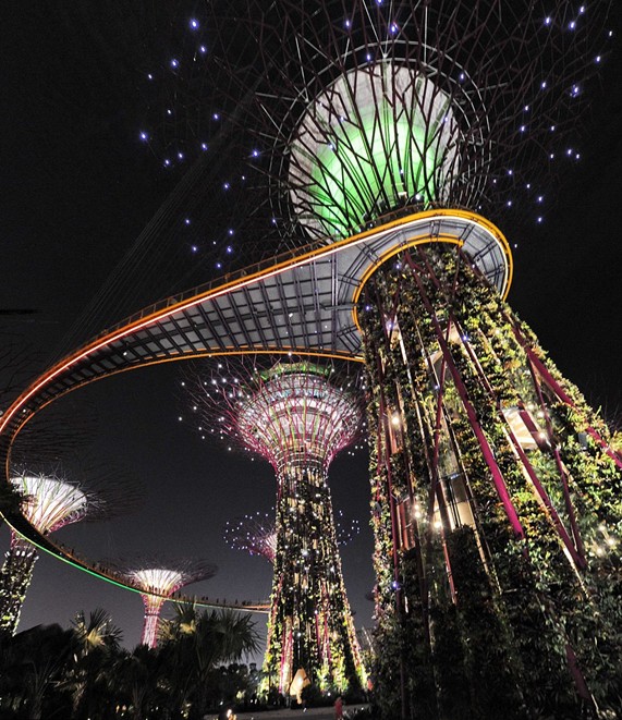 新加坡點亮迷人“超級樹花園” 欲打造世界植物之都