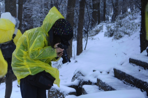 安徽黃山風景區迎降入冬首場盛雪 驚羨拍雪客