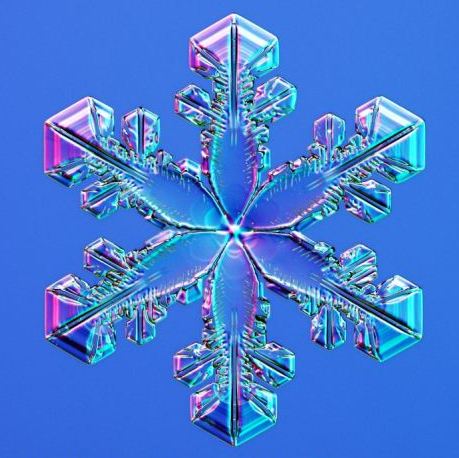 怎一個美字了得！美國科學家帶你圣誕看雪花(圖)