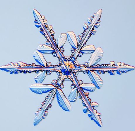 怎一個美字了得！美國科學(xué)家?guī)闶フQ看雪花(圖)