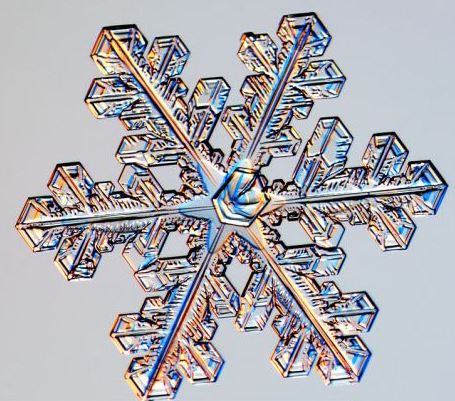 怎一個(gè)美字了得！美國(guó)科學(xué)家?guī)闶フQ看雪花(圖)