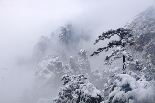 黃山：不容錯(cuò)過的白色浪漫