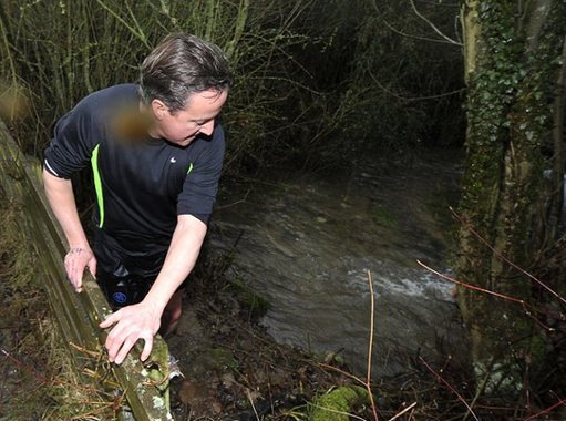 卡梅倫參加慈善越野賽 展示強(qiáng)健體魄受傷也不在乎