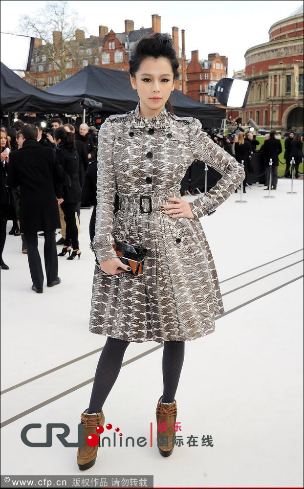 林志玲林心如高圓圓 2012還沒嫁掉的極品剩女(圖)