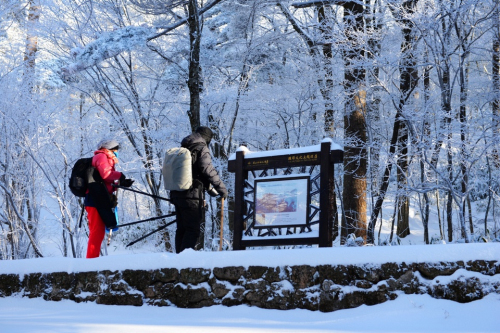 黃山風(fēng)景區(qū)開(kāi)展主題酬賓周活動(dòng) 本地市民免費(fèi)游