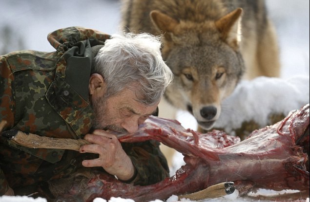德國79歲男子“與狼共食” 化身頭狼統領29只猛獸