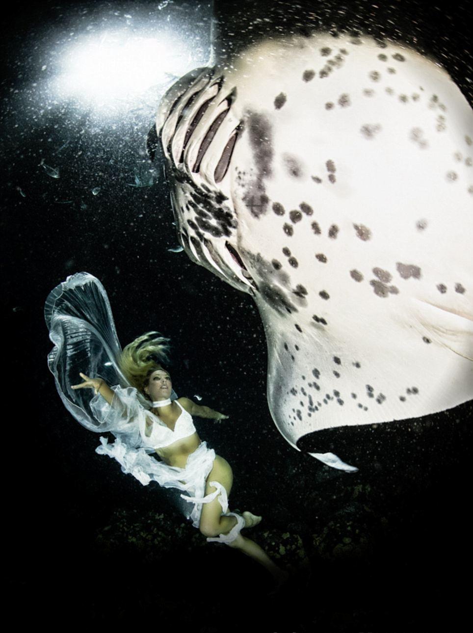 最后的舞蹈：動(dòng)物組織拍唯美照片呼吁保護(hù)“魔鬼魚”