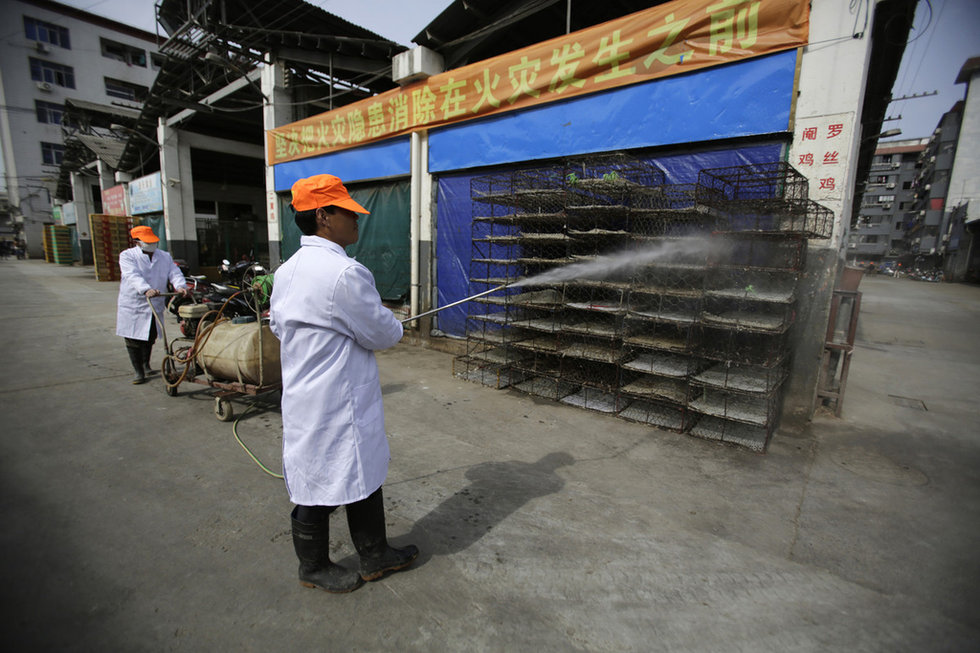 組圖：中國多地備戰H7N9禽流感