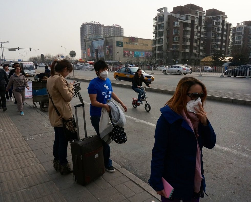 組圖：中國多地備戰(zhàn)H7N9禽流感
