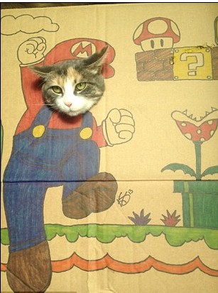 與涂鴉“混搭”貓咪傾情演繹女巫、恐龍、馬里奧