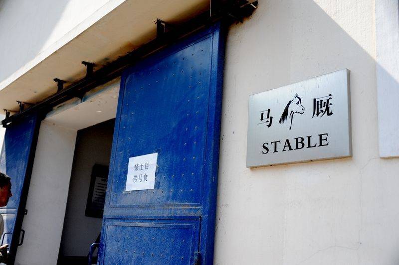 每匹馬養護成本2500元/月?探秘大連女騎警訓練基地