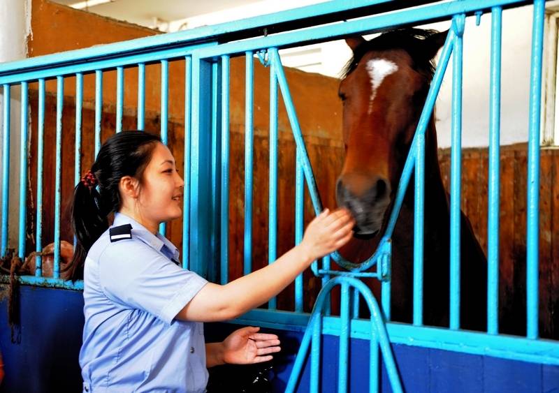 每匹馬養護成本2500元/月?探秘大連女騎警訓練基地