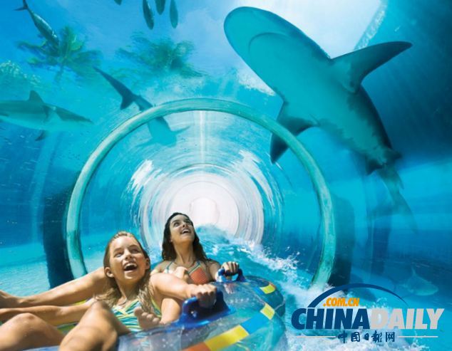 組圖：巴哈馬超酷水滑梯帶來風(fēng)馳電掣體驗 與鯊魚“同游”