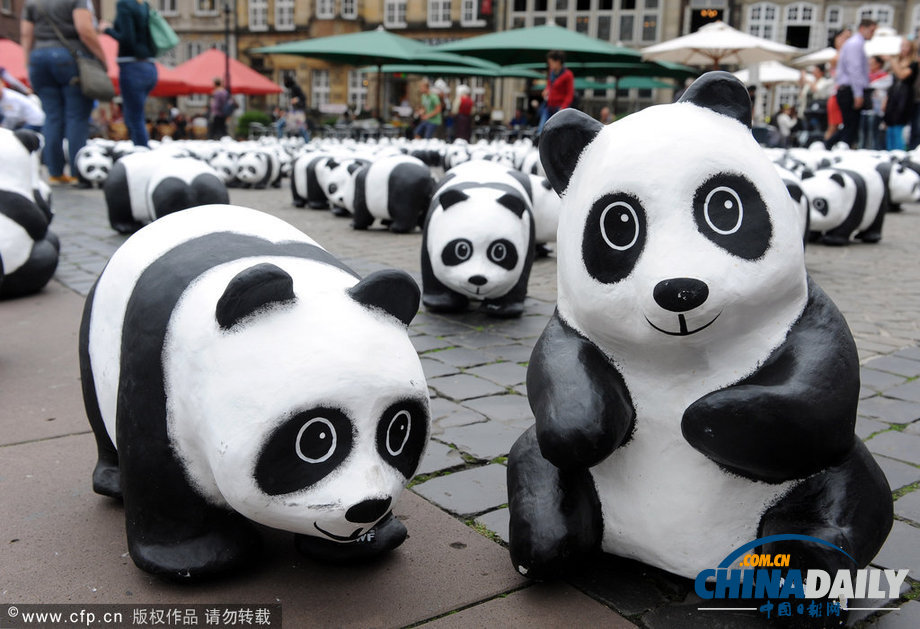 大熊貓“宣傳隊”轉戰德國不來梅 超萌可愛引圍觀（高清組圖）