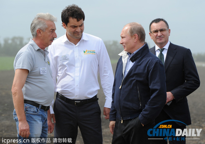 普京視察秋收情況 自稱對(duì)著鏡頭很難盡情用餐（圖）