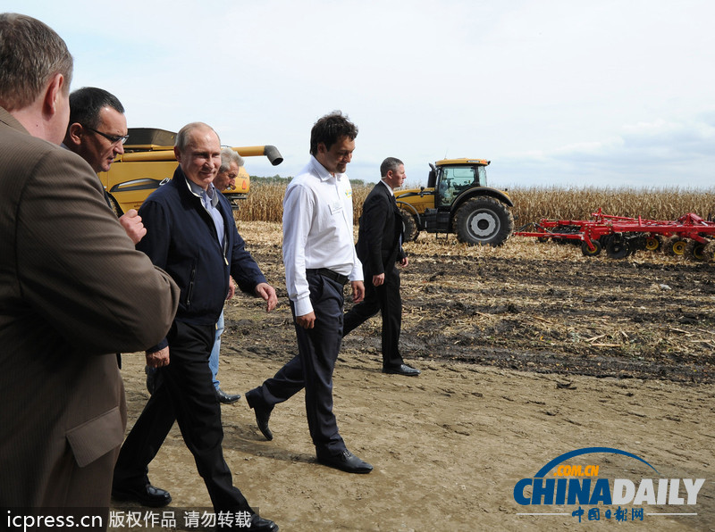 普京視察秋收情況 自稱對著鏡頭很難盡情用餐（圖）