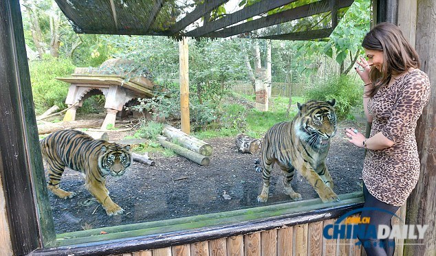 英國一動物園禁穿豹紋服 因為會使動物感到“困惑”