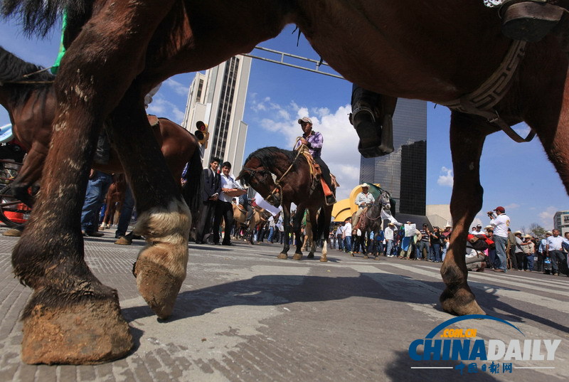 墨西哥農民騎驢騎馬示威 要求提高農產品價格