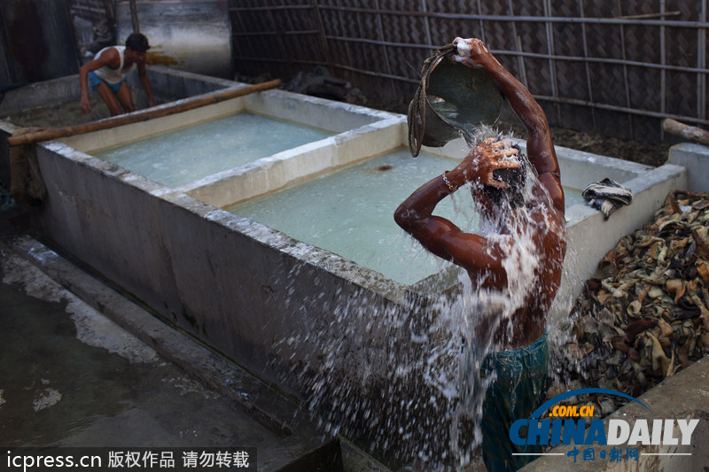 圖片故事：孟加拉國人在因造皮革受污染環境中生活